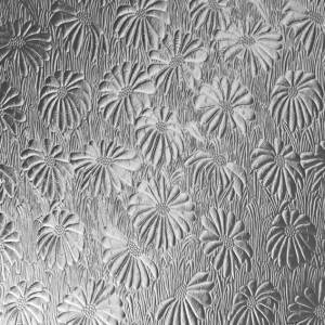 mayflower obscure glass