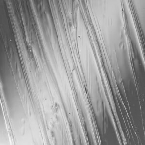 warwick obscure glass